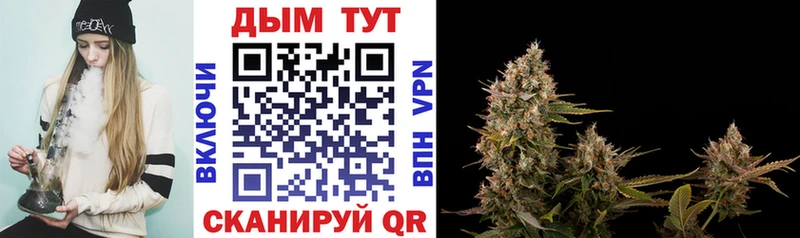 Как найти закладки Игра APVP  Бошки Шишки  ТГК  Меф мяу мяу  ГАШ  COCAIN 