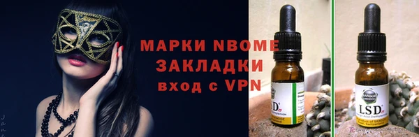 стафф Алзамай