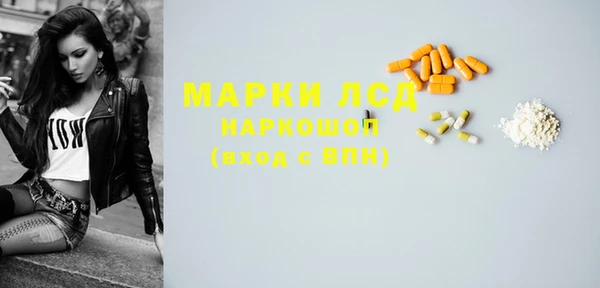 стафф Алзамай
