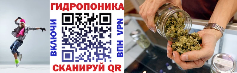 Шишки марихуана планчик  сколько стоит  Игра 